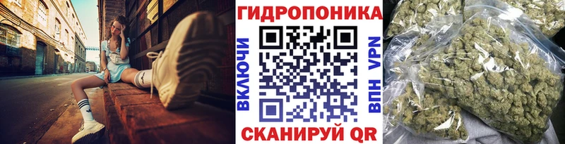 Как найти наркотики Петров Вал СК  Бошки Шишки  Cocaine  Мефедрон  hydra ТОР  ГАШИШ 