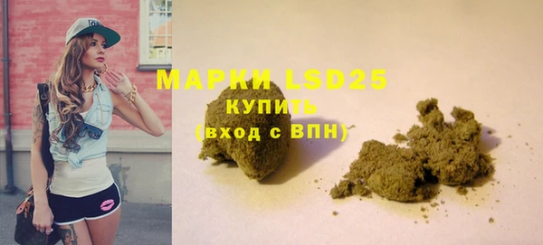 хмурый Нея