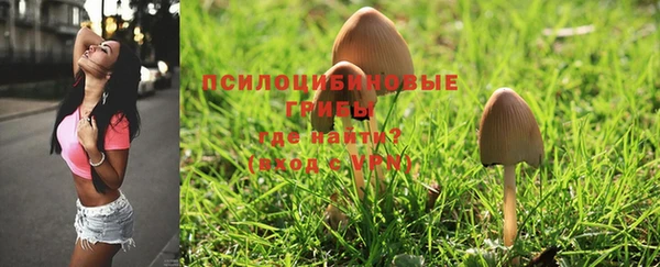 хмурый Нея