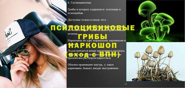 хмурый Нея