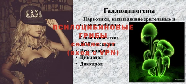 хмурый Нея