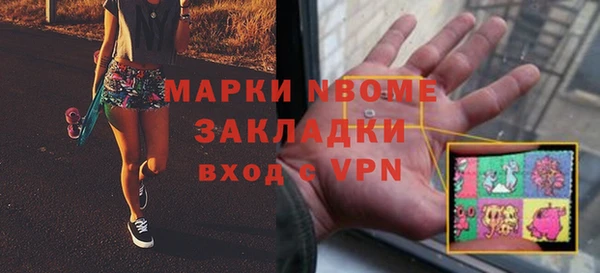хмурый Нея