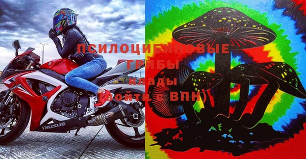 хмурый Нея