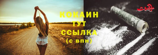 хмурый Нея