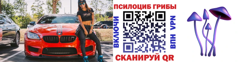 mega ссылки  наркотики  даркнет Telegram  Псилоцибиновые грибы GOLDEN TEACHER  Петров Вал 